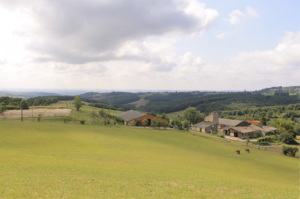 écurie-tarn